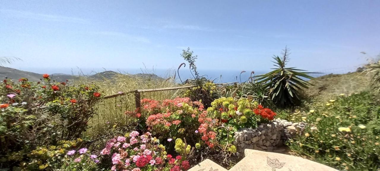 Finca Mariposa Mariposaholidays Nerja Εξωτερικό φωτογραφία