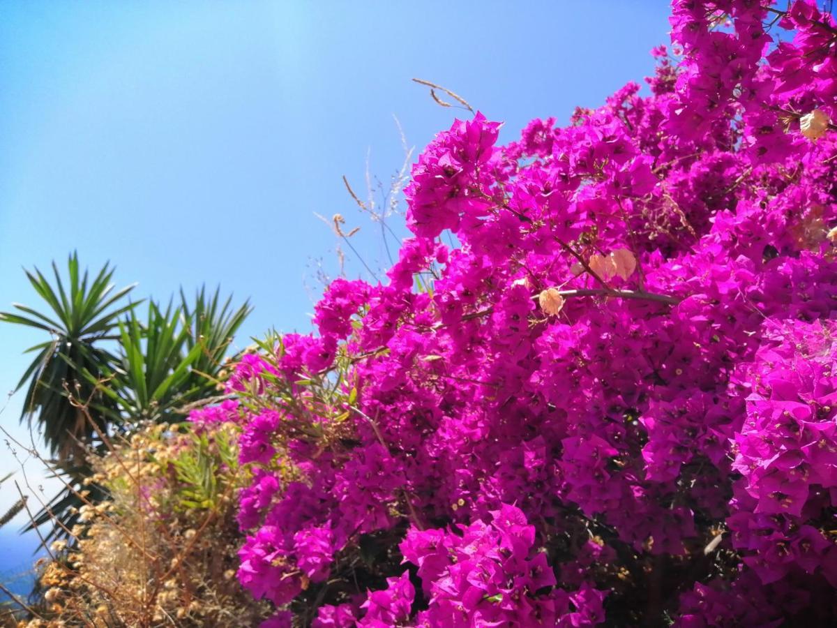 Finca Mariposa Mariposaholidays Nerja Εξωτερικό φωτογραφία
