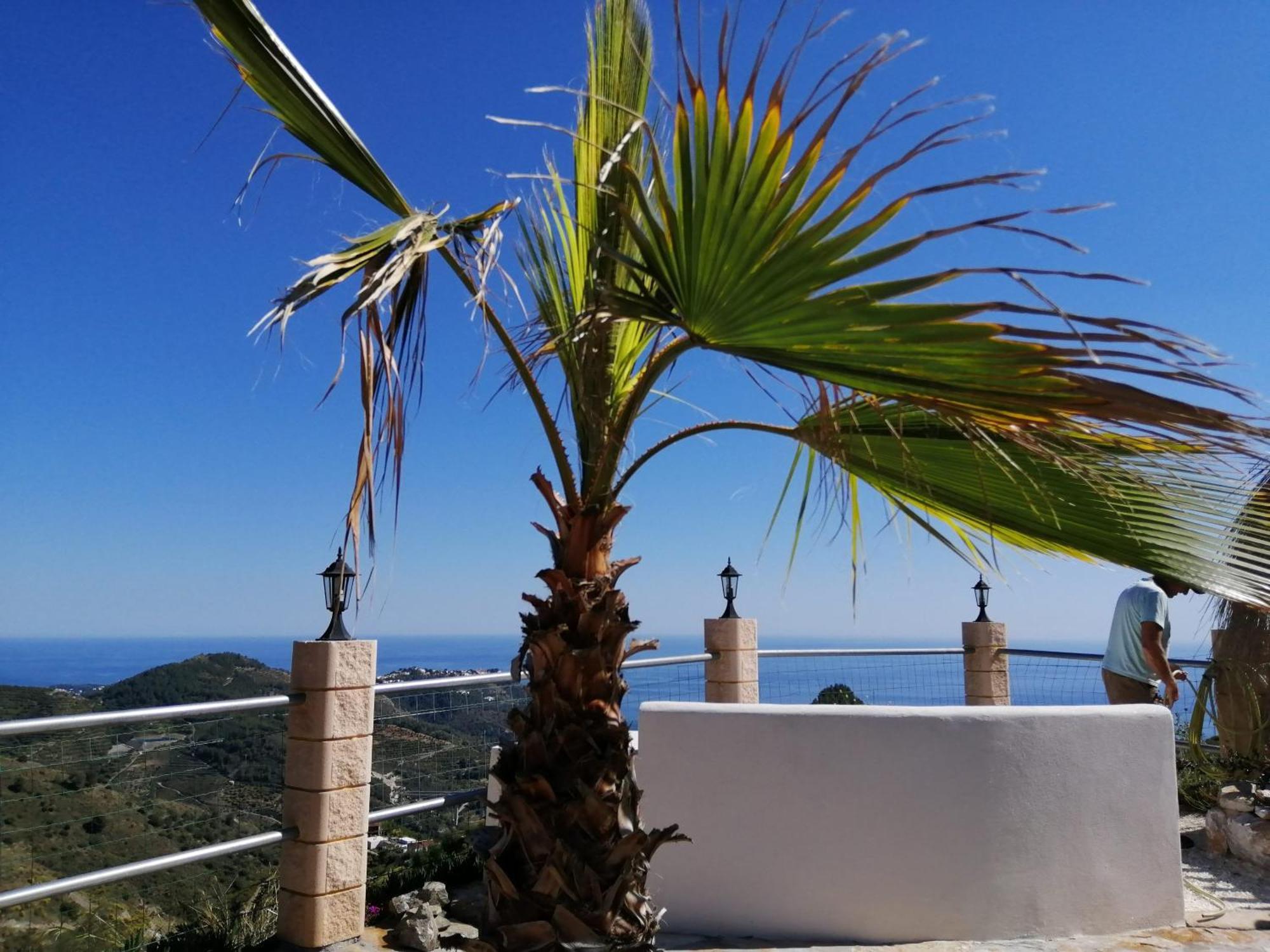 Finca Mariposa Mariposaholidays Nerja Εξωτερικό φωτογραφία