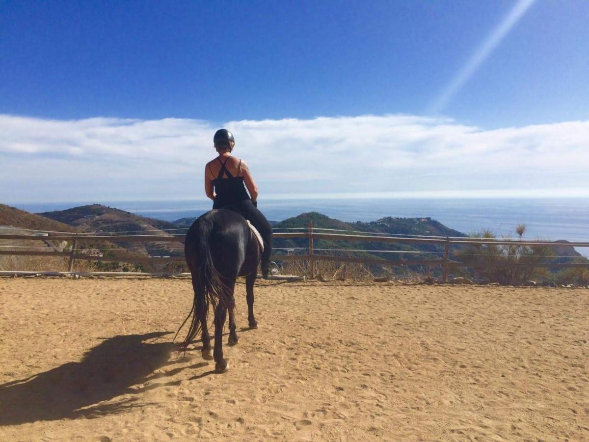 Finca Mariposa Mariposaholidays Nerja Εξωτερικό φωτογραφία