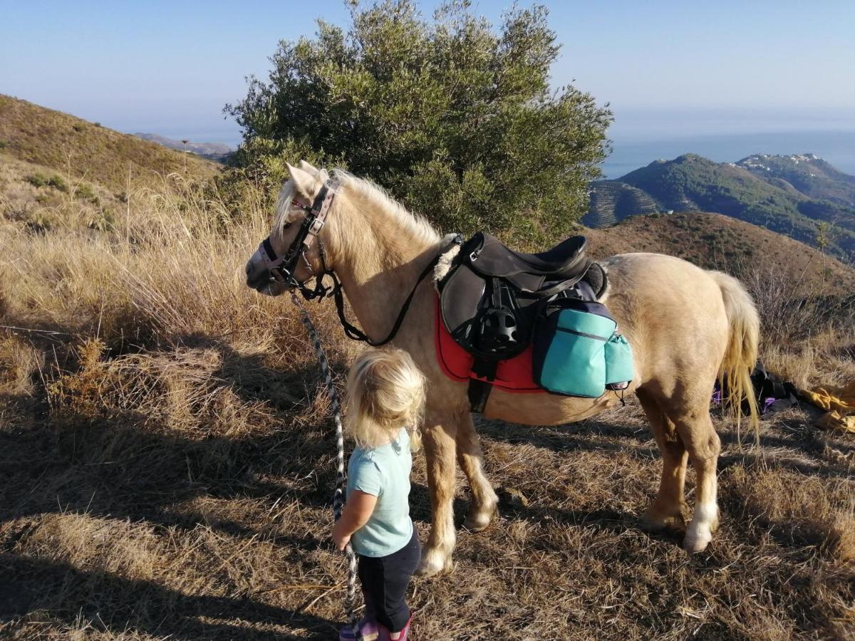 Finca Mariposa Mariposaholidays Nerja Εξωτερικό φωτογραφία